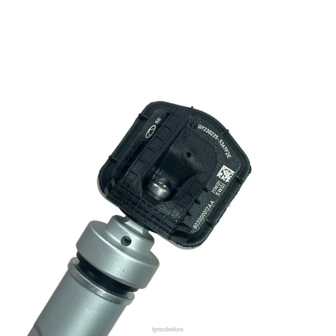 TPMS Belize - TPMS Chery Tire Pressure Sensor 802000012AA 22LH1241