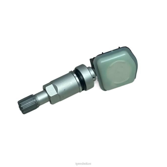 TPMS Belize - TPMS Chery Tire Pressure Sensor 802000012AA 22LH1241