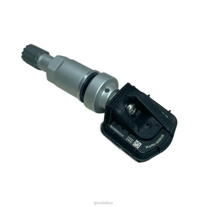 TPMS Belize - TPMS Chery Tire Pressure Sensor 802000012AA 22LH1241