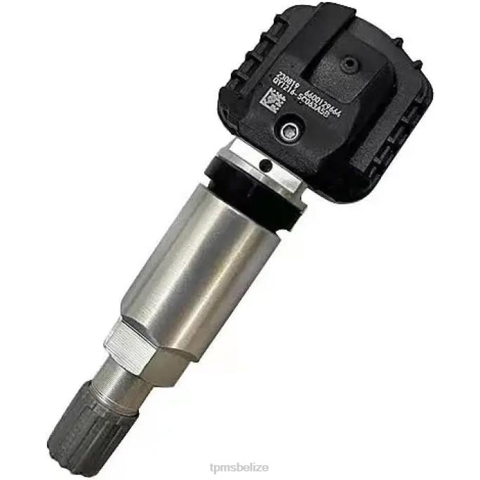 TPMS Belize - TPMS Geely The Pressure Sensor 6600129664 433MHZ 22LH1721