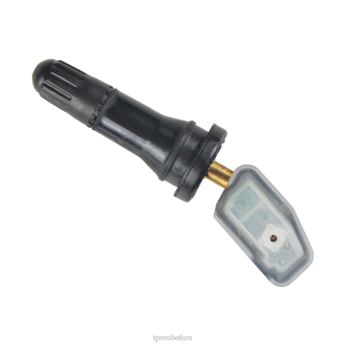 TPMS Sensor Replacement - TPMS Hanteng Tire Pressure Sensor 3617020001M11 22LH1303