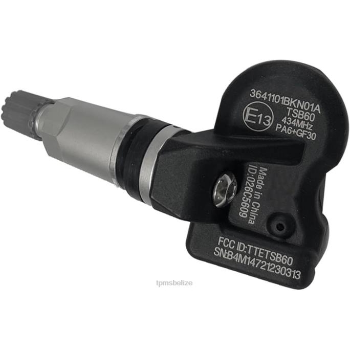 TPMS Belize - TPMS Haval/GWM The Pressure Sensor 3641101BKN01A 433MHZ 22LH1701