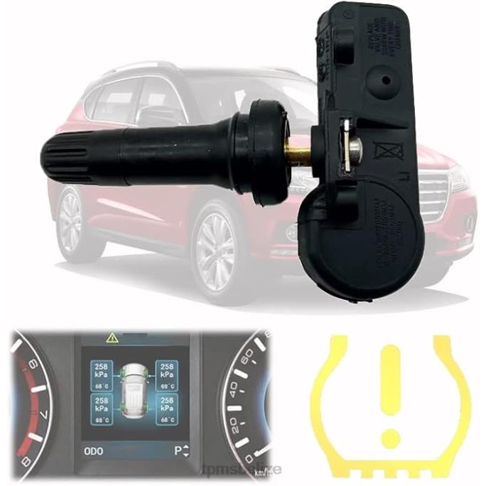 TPMS Sensor Belize - TPMS Haval/GWM The Pressure Sensor 3641100XKU00A 433MHZ 22LH1692