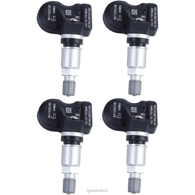 Tire Pressure Sensor Tool - TPMS Haval/GWM The Pressure Sensor 3641100XKZ16B 433MHZ 22LH1699