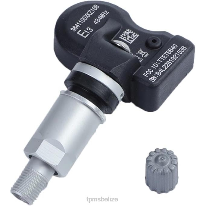 Tire Pressure Sensor Tool - TPMS Haval/GWM The Pressure Sensor 3641100XKZ16B 433MHZ 22LH1699