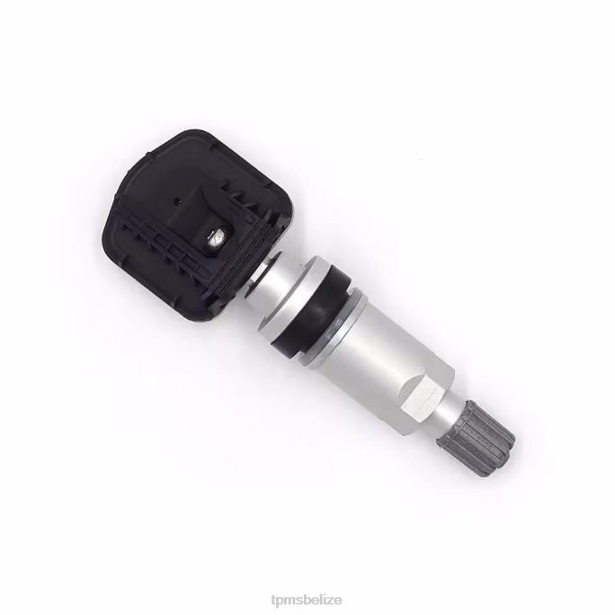 TPMS Sensor Reset - TPMS Rongwei Tire Pressure Sensor 10290600 22LH1256
