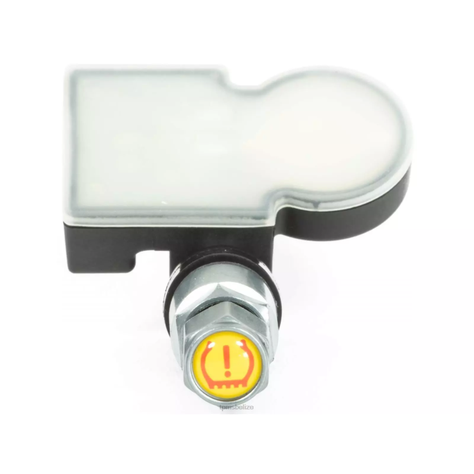 TPMS Belize - TPMS SAIC Datsun Tire Pressure Sensor GC91B50 22LH1291
