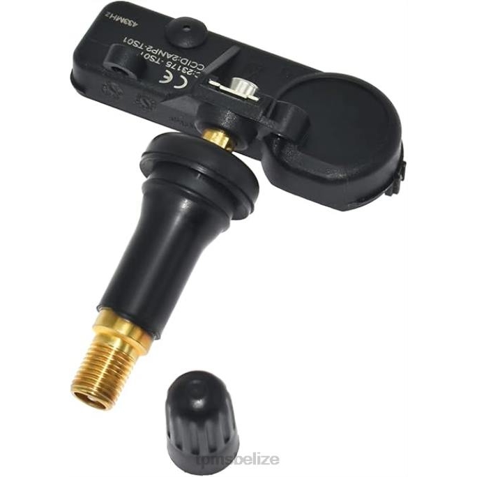 Tire Pressure Sensor Tool - TPMS SAIC Datsun Tire Pressure Sensor TP3040001 22LH1289