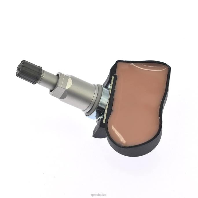 TPMS Sensor Reset - TPMS Trumpchi The Pressure Sensor 8060004BAD0000 433MHZ 22LH1746