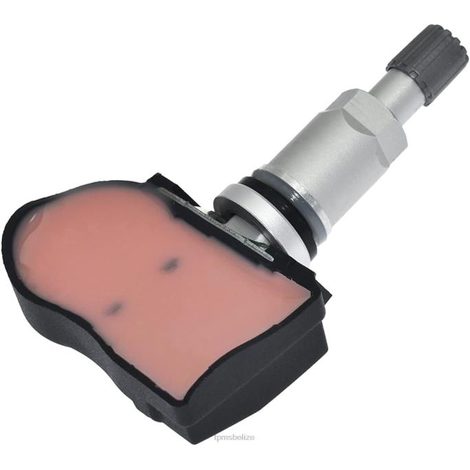 TPMS Sensor Tool - TPMS Trumpchi The Pressure Sensor 8060004ARX0000 433MHZ 22LH1744