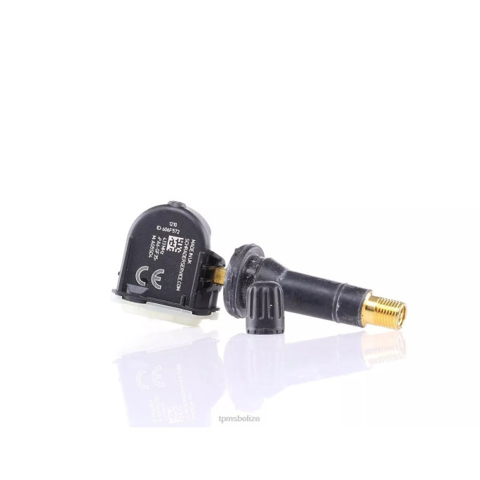 TPMS Sensor Replacement - TPMS Traum The Pressure Sensor 3617020001S301 433MHZ 22LH1793