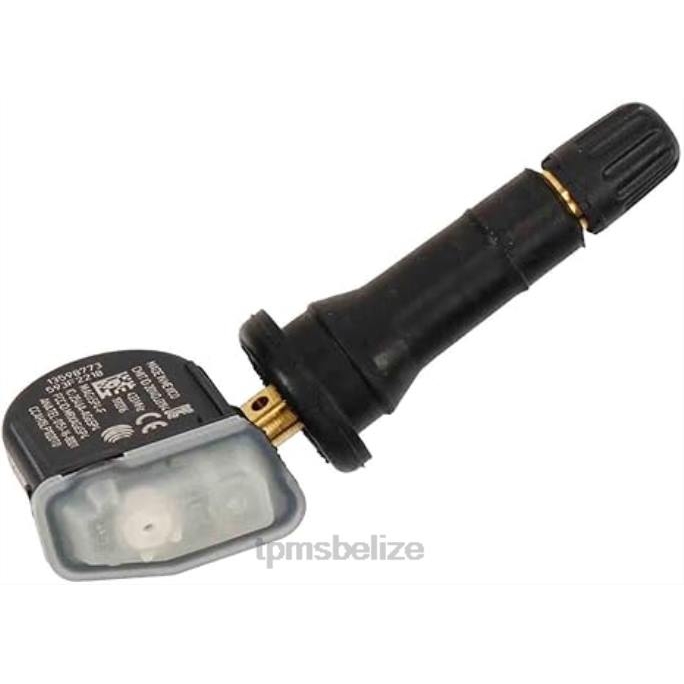 TPMS Sensor Location - TPMS Chevrolet/Cadillac/GMC Tire Pressure Sensor 13598773 22LH1317
