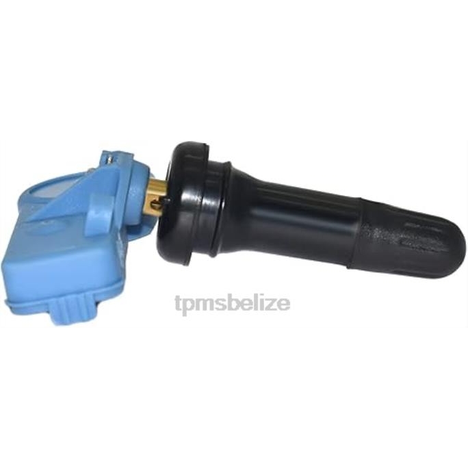 TPMS Sensor Location - TPMS Chevrolet/Cadillac Tire Pressure Sensor 25789964 22LH1357