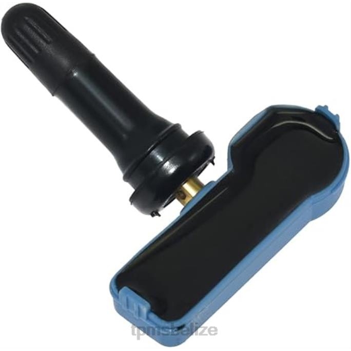 TPMS Sensor Location - TPMS Chevrolet/Cadillac Tire Pressure Sensor 25789964 22LH1357