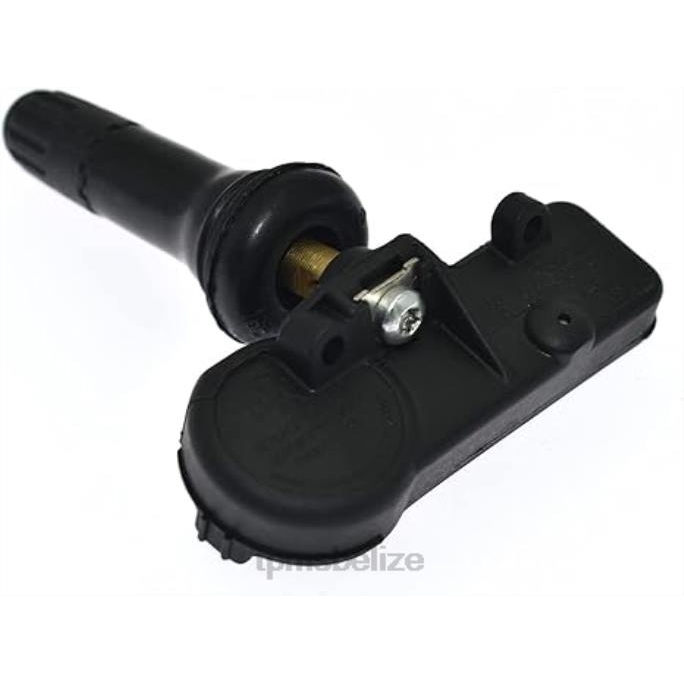 TPMS Sensor Tool - TPMS Chevrolet Tire Pressure Sensor 15254101 22LH1394