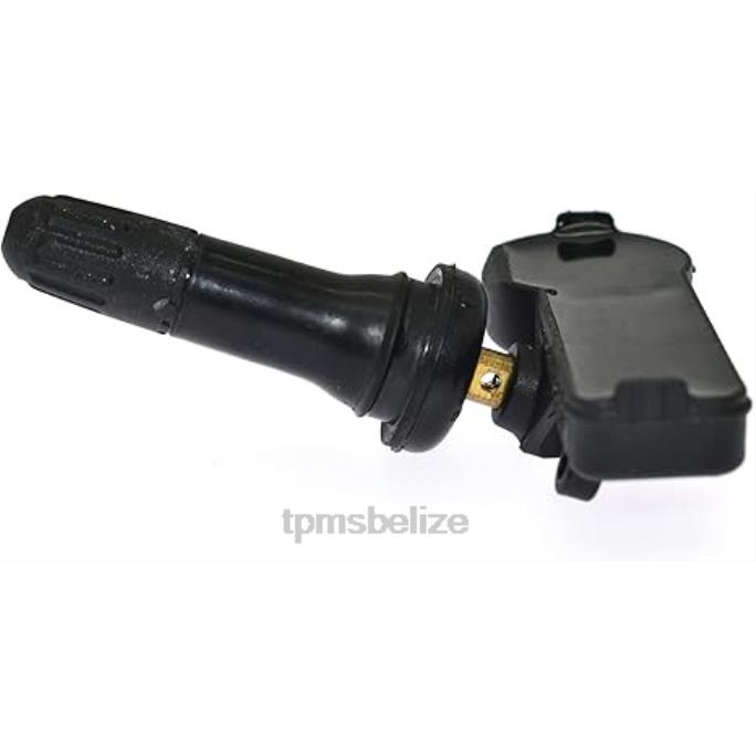 TPMS Sensor Tool - TPMS Chevrolet Tire Pressure Sensor 15254101 22LH1394