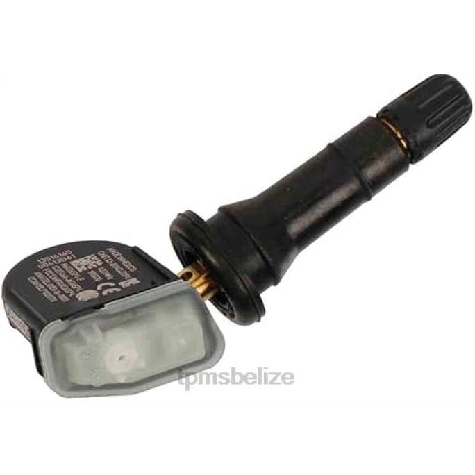 Tire Pressure Sensor Replacement - TPMS Buick/Chevrolet/Cadillac/GMC Tire Pressure Sensor 13516165 22LH1328
