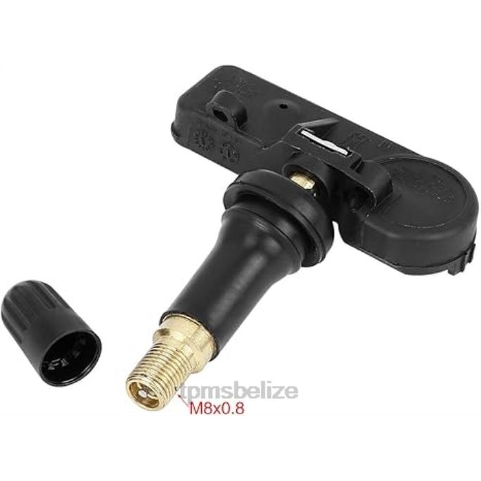 TPMS Sensor Tool - TPMS Ford/Lincoln Tire Pressure Sensor DE8T1A180AA 22LH1324