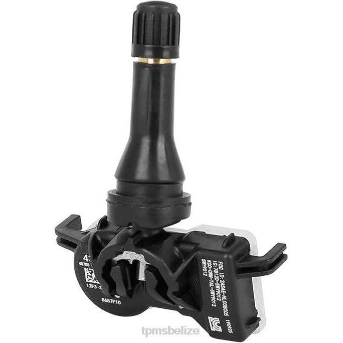 TPMS Sensor Location - TPMS Renault. Tire Pressure Sensor 407004CB0B 22LH1237