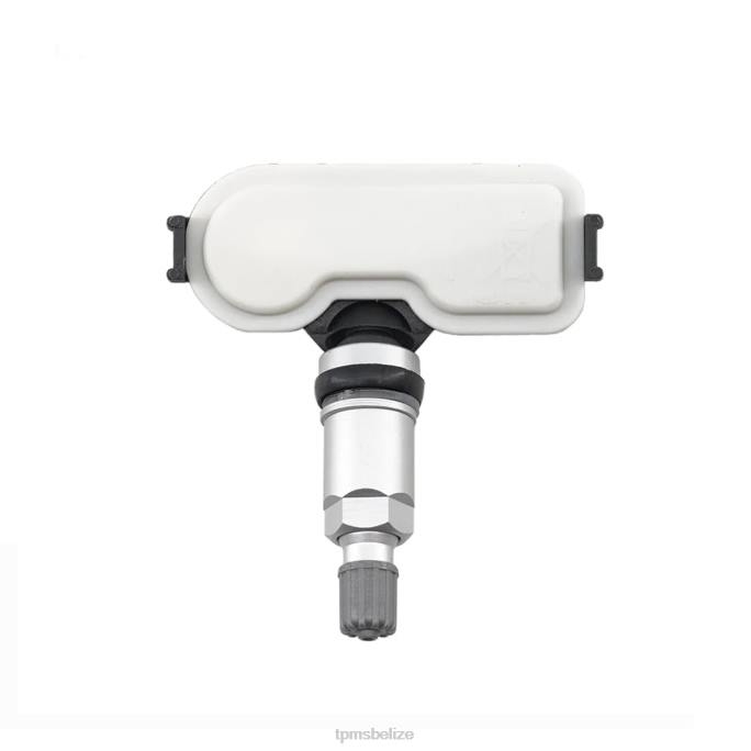 TPMS Belize - TPMS Hyundai The Pressure Sensor 529333X300 448MHZ 22LH1671