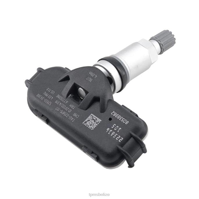 TPMS Belize - TPMS Hyundai The Pressure Sensor 529333X300 448MHZ 22LH1671