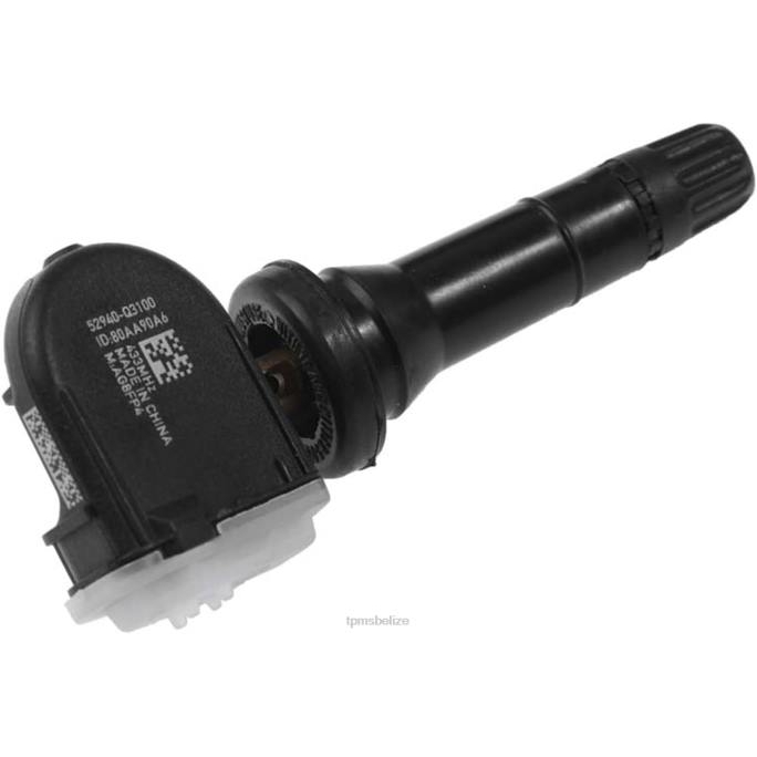 Tire Pressure Sensor Tool - TPMS Hyundai The Pressure Sensor 52940Q3100 446MHZ 22LH1669